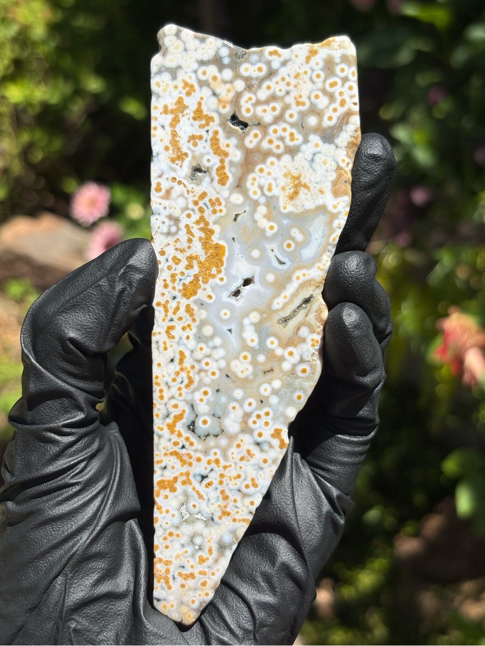 Ocean Jasper Crystal Slab - Sea Jasper - Polished Orbicular Jasper with Druzy